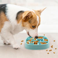 Tazón Lento Alimentador Para Perros Anti-Slip Divertido No Permites Tragos Rapidos Alimentación Ecológico Para Perros Grandes Medianos Y Pequeños Puppies - details 11