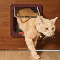 Solapa de gato con 4 vías magnéticas, puerta para mascotas para gatos y perros pequeños, puerta de gato con túnel marrón 18x19x5,5 cm - details 4