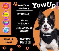 YOWUP! Pack 3 Yogures y 3 Helado Variados para Perros - Salmón Tartar, Pollo Manzana y Bacon Cake 110gr X 3 Unds, Yogur Natural, Pollo y Salmón 115gr X 3 - details 4