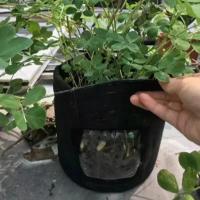 Bolsas De Cultivo De Verduras De Tamaño Grande Y Pequeño Bolsas De Crecimiento De Plantas De Tela No Tejida Para Jardín Y Estufa Herramientas Verticales Para Patatas - details 18