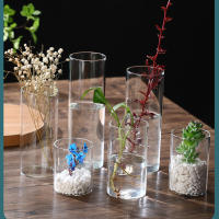 Vaso De Flor De Vidrio Transparente Pequeño Moderno Para Centro De Mesa Bodas Oficinas Y Hogar Vaso Cilíndrico Para Flores - details 4