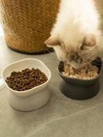 Cuenco Para Mascotas 1Pc Alimento Y Agua Para Gatos Y Pequeños Perros Plástico Forma Redonda Alimento Y Agua Separados - details 4