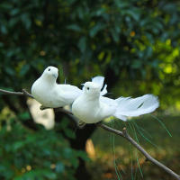 1Pc Adorno De Navidad Para Árbol De Boda Y Fiesta Pigeon Artificial Pájaros Delfín Simulación Plumas Decoración Para Sala De Estar Hogar - details 7
