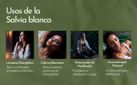 Atados de Salvia Blanca Sagrada MUT22 con Romero - Purificación Profunda y Armonización Espiritual - details 2