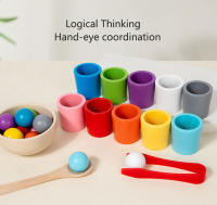 Juguete Montessori De Madera Juego De Colores Y Alineación Con Bolas Arcoíris En Copas Educación Temprana Para Niños De Preescolar Edad 3+ - details 15