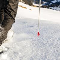 Punta De Carbono Para Bastón De Trekking Y Caminata 3.15" Longa Para Montañismo Y Escalada En Montañas Reemplazo De Pie De Bastón - details 6