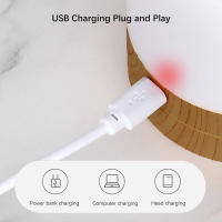 Lámpara De Mesa Recargable LED Portátil Luz Nocturna Táctil RGB Dimmable Para Regalo Decoración De Fiesta De Verano Camping Dormitorio - details 8