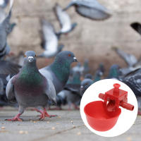 15 PCS Fuente De Agua Para Ponedero Pato Gallo Pollo Pigeon Bebedor De Agua Para Aves De Corral Cucharas De Agua Rojas - details 0