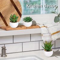 XIYA FLOWER Suculentas De Aloe Vera Artificiales En Estilo Moderno Con Maceta De Plástico Blanco Para Decoración Del Hogar Material PE - details 6
