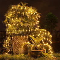 Luces De Navidad LED De 1.5x1.5M 2x3M Con Enredaderas De 2.5-3M Luces De Fairy Para Jardín Decoración De Fiesta Y Boda De Tira De Luz EU Plug - details 1