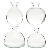 Kit De Crecimiento De Semillas De Agarrope Vaso De Vidrio Transparente Para Cultivo De Semillas Regalo Para Amantes Del Jardín Decoración Del Hogar Estilo Moderno - details 8