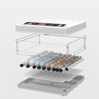 Miniincubadora de huevos 24/36 con cajón,  totalmente automática, inteligente, para el hogar,  Incubadora de huevos reposición de agua, incubadora de control de temperatura digital - details 2