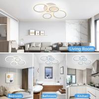 Lámpara De Techo Moderna Y Modesta IRALAN Para Sala Cocina Y Living Con Control Remoto Tres Colores Ajustables Y Luz LED - details 1