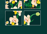 Bloques De Construcción Creativos Y Románticos Con Flor De Orquídea Set De Modelos De Flecos Regalo Para Adultos Y Niñas Decoración Del Hogar - details 8
