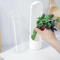 Botella De Conservación De Verduras Y Hierbas Para Nevera Contenedor De Almacenamiento Familiar Para Alimentos Tamaño Mediano Material ABS - details 2