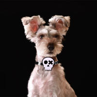 10PCS Accesorios Para Mascotas Disfraz De Calabaza Y Fantasma Para Perros Y Gatos Ajustables Estilo Halloween Suministros Para Mascotas - details 2