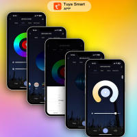 Miboxer Controlador LED WiFi+2.4G Con Music Rhythm Tuya Smart Y Control De Voz Para Google 2in1 5in1 Single Color/CCT/RGB/RGBW/RGBCCT - details 7