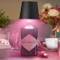 Lámpara De Mesa Inalámbrica Para Botellas De Vino LED Luz De Botella Para Uso Exterior Control Táctil Ideal Para Restaurantes Bares Festivales Y Fiestas - details 5