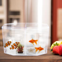 Acuario Octogonal Para Peces Betta Y Guppys Caja De Incubación De Alimentos Acrílico Transparente Para Reproducción De Peces En El Hogar - details 3