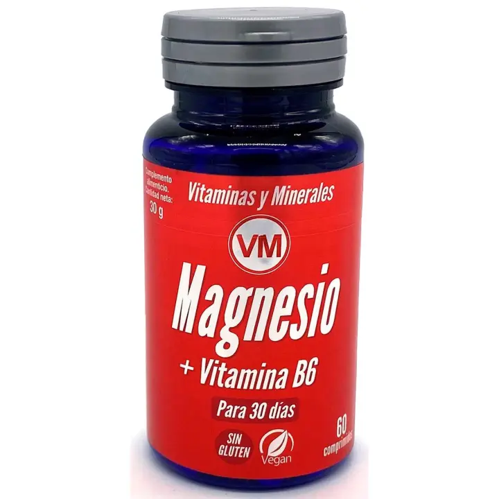 Magnesio + Vitamina B6 60 comprimidos Ynsadiet - 1