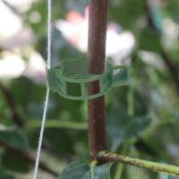 Abrazaderas para plantas para soportes vegetales/enrejidas 100-pack Verde - details 2