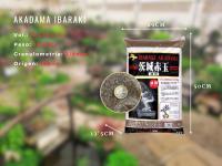 Akadama Ibaraki Hard Quality 14 Litros, sustrato arcilloso para bonsai y acuario BonsaiGranada - details 0