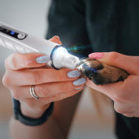 Cortauñas Eléctrico Para Mascotas Con Luz LED Recargable Herramienta De Pulido Y Afeitar Uñas Para Perros Y Gatos - details 1