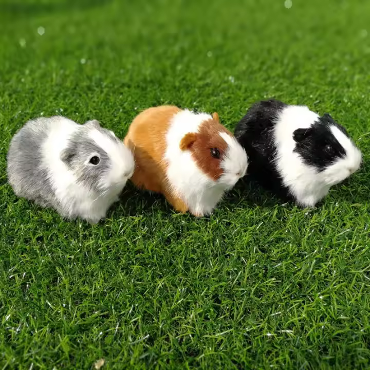 Muñeco De Peluche De Conejo De Guinea Simulación Felpa Suave Juguete De Peluche Figura De Animal Para Regalo De Cumpleaños Para Niños - 1