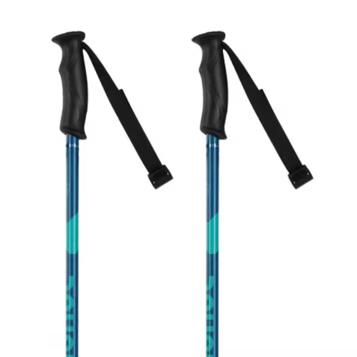 Rossignol Bastones Electra Plateado Mujer Adulto - 1