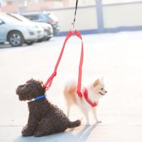 Correa Doble Para Perros Nylon Ajustable Para Todo El Año Con Harnés Correa Para Puppies - details 1