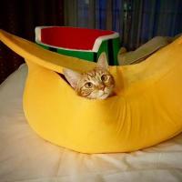 Cama Para Gato En Forma De Plátano Casa Cozy Y Divertida Manta Para Gatos Confortable Y Duradera Portátil Cesta Para Mascotas Almohadilla Para Perro Multicolor - details 7