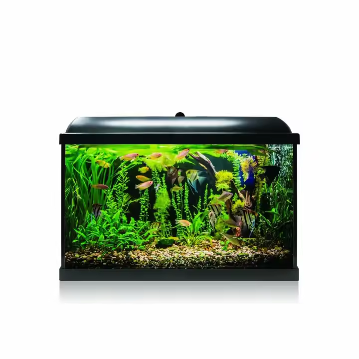 Kit Acuarioqua-led PRO 68 ICA con Filtro Interior y Tecnología LED - 1