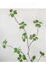 Rama De Planta Artificial De Loto Guanyin 90Cm Hojas De Loto Para Decoración Zen Interior Arreglo Floral Silken Sin Químicos - details 11