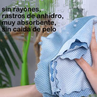 Various-Bayeta Cristales y Baños Solución Espejos, Cristales y Limpieza del Baño Paños Microfibra con Gran Capacidad de Absorción No Deja Marcas y Pelusas -30x40cm 12,24,48Unidad - details 2