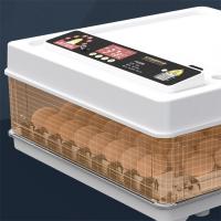220V 24/36 Huevos Incubadora Brooder Pájaro Codorniz Pollito Huevos Granja Incubadora Automática Granja Herramientas Incubación Aves Turner - details 3