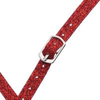 Cordones De Cuero PU Para Mujer Zapatos De Tacón Alto Y Botas Con Hebilla Metálica Accesorios De Cuidado Del Pie - details 7