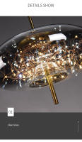 Lámpara Colgante LED Moderna De Vidrio Iluminación De Techo Fijación Por Cuerda Decoración De Dormitorio Luminaire Chandeliers - details 11