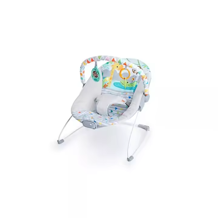 Hamaca Bright Starts Safari Fun - 1