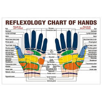 Bola De Masaje Magnética Para Mano Y Pie 9 Piezas/Lote Estimulación De Puntos Trigénericos Relieve De Presión Palma Acupuntura Bola De Masaje Portátil - details 2