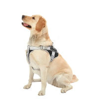Juego De Arnés Y Correa Reflectante Para Perros Pequeños Y Medianos Ajustable Y Cómodo Para Caminar Y Correr De Manera Segura - details 1