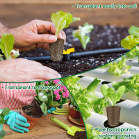 50 Pack Esponjas De Crecimiento De Semillas Hydroponicas Iniciador Reemplazo Para El Crecimiento De Raíces Accesorios De Jardinería - details 1