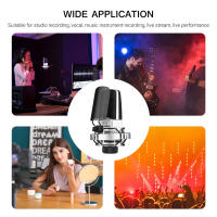 TAKSTAR SM-18 EL Micrófono Profesional De Grabación Cardioid Condenser XLR Con Soporte Antivibración Ajustable Para Voz Y Estudio - details 8