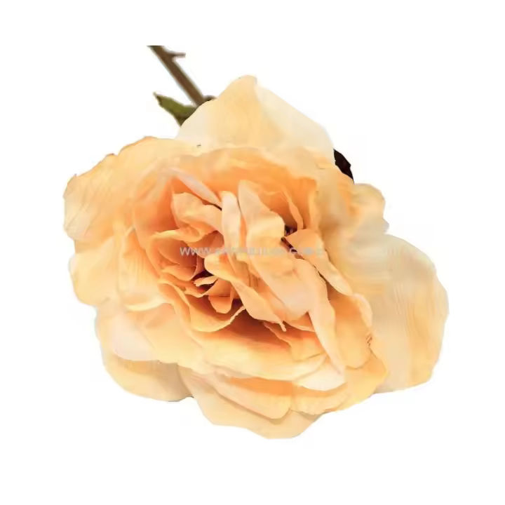 Rosa de Tela Calidad Premium, Efecto Papiro, Tallo 80cm, Decoración Interiores - 1