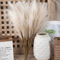 1/5PCS Flor De Pampas Artificial En Estilo INS Alta Calidad Plantas Falsas Para Decoración Bohemia De Hogar Y Jardín Para Dormitorio Y Balcones - details 2