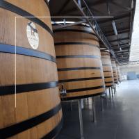 Lagareta Gourmet Vino Tinto El Rapolao - La Vizcaína - 2020 - Bodega y Viñedo Raúl Perez - details 2