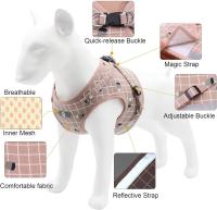 Arnés y Correa para Perros Pequeños Sin Neumáticos Ajustable Chihuahua Reflectante Pink L - details 1