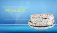 Tira De LED 12V 5m RGB 2835SMD Luz Blanco Rojo Azul Verde Con Adhesivo Trama Lámpara De Color Con Fondo Adhesivo Para El Hogar - details 0
