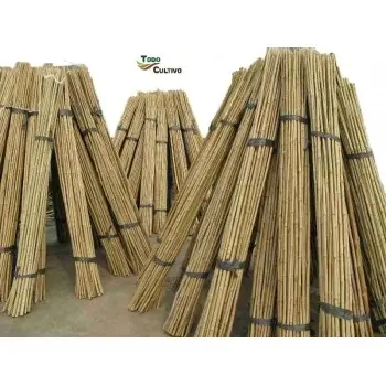 Tutor de bambú tailandés de 210cms de altura y diámetro 20-22mm. Pack 50 Uds. Para cultivos de huerta y donde sea necesario un esfuerzo extra, es aconsejable utilizar bambú de origen Tailandés ya que es más fuerte y la sección de la caña más maciza. - 1