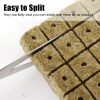 Cubes De Medio De Cultivo De Hidroponía Stonewool Para Semilleros Bloque De Cultivo De Semillas Absorción De Agua 80% Para Cultivo De Plantas - details 2