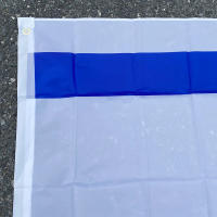 Bandera Nacional De Israel 90X150cm En Poliéster Bandera Horizontal De Soporte Y Aliento Para La Solidaridad Uso Doméstico - details 1